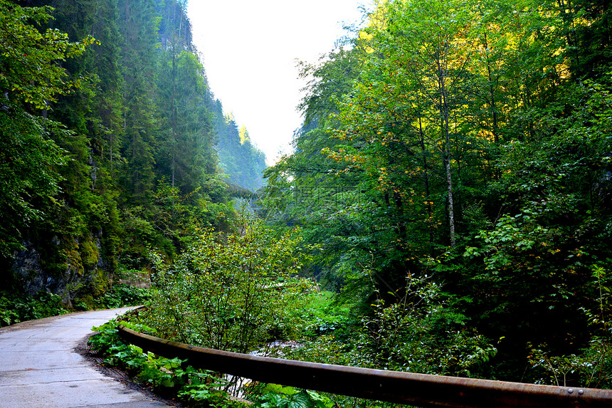 风景在阿普塞尼山图片