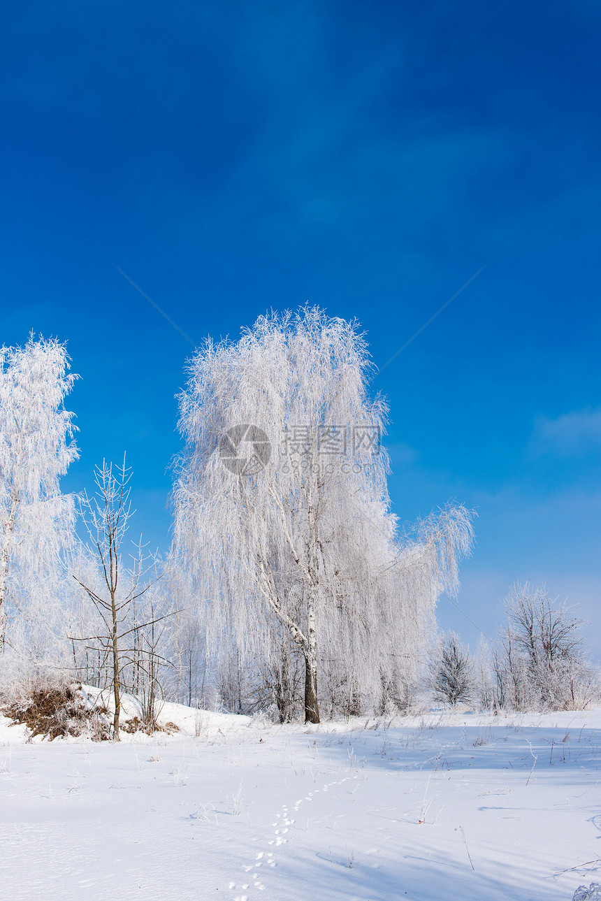 美丽的冬季风景和图片