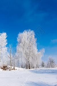 美丽的冬季风景和图片