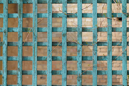 绿色木格子砖背景上的格子图片