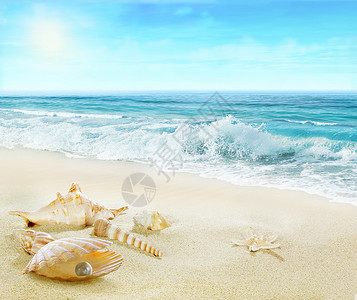 有贝壳和珍珠的沙滩图片