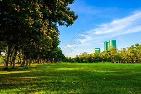 城市公园蓝天空绿草地图片