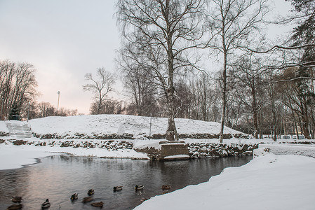 湖边早晨冬天风景俄罗图片