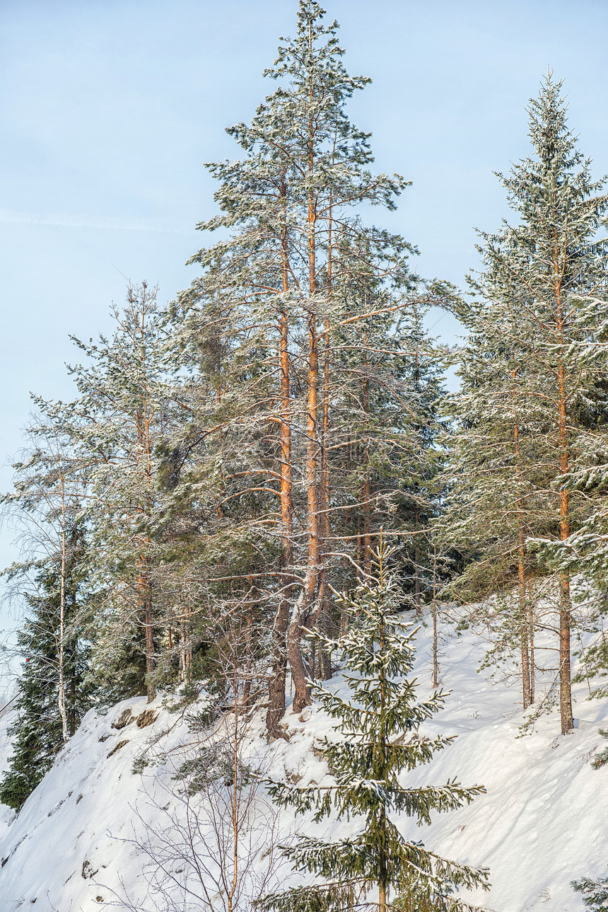 冬季自然冬季森林风景与寒冷天气下雪俄图片