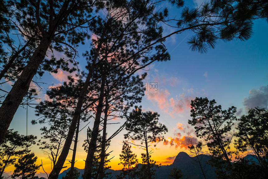黄天云山夕阳上的锡卢阿特树图片