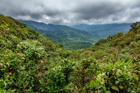 哥斯达黎加Monteverde生物保护组织覆盖的云层森林宽广全景图片