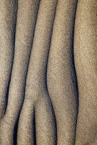 干沙和滩西班牙兰萨罗图片