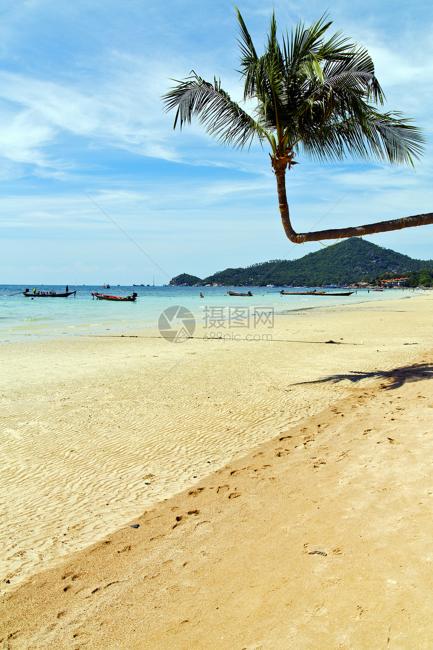 亚洲岛在khophangan泰国湾海滩岩石独木舟棕榈和南海图片