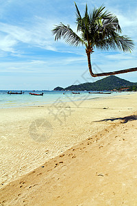 亚洲岛在khophangan泰国湾海滩岩石独木舟棕榈和南海图片