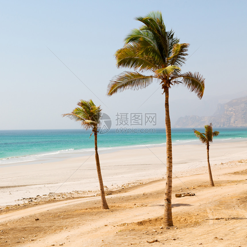 在沙滩附近的沙滩天空棕榈和山丘在图片