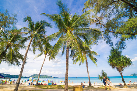 热带海滩和椰子棕榈树蓝天空在天图片