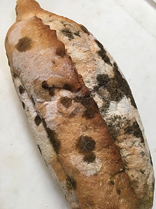 Moldy面包图片