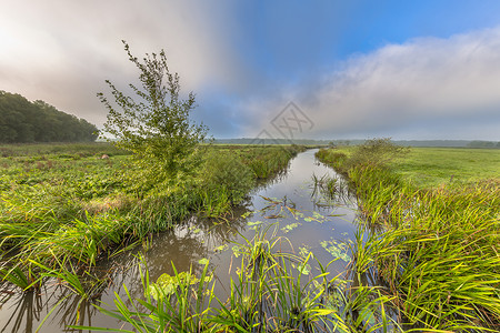 荷兰德伦特省Eelde附近低地河谷的明亮夏季景观图片