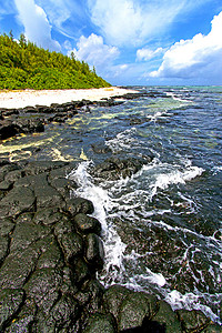 桑给巴尔海滩藻印度洋岩石图片
