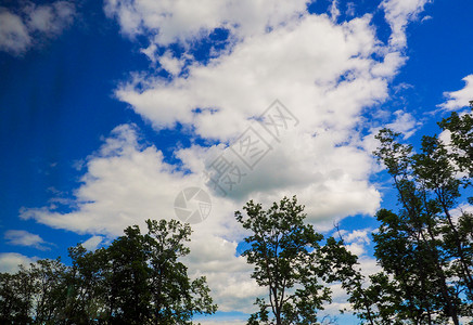 蓝天云和树图片