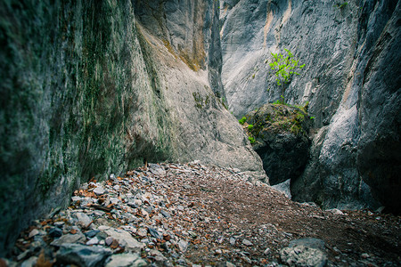 在山之间有一座大岩石在峡谷之间一棵图片