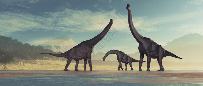 恐龙家族无脊椎龙这图片