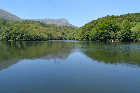 沼泽水库和河流图片