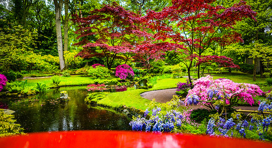 传统的日本花园自图片