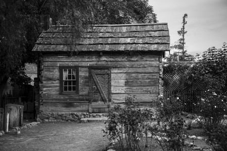 世纪之交的旧木屋小屋图片