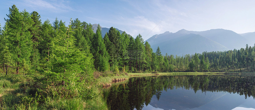 山川的美丽景色在森林树木和岩石之间在背景图片