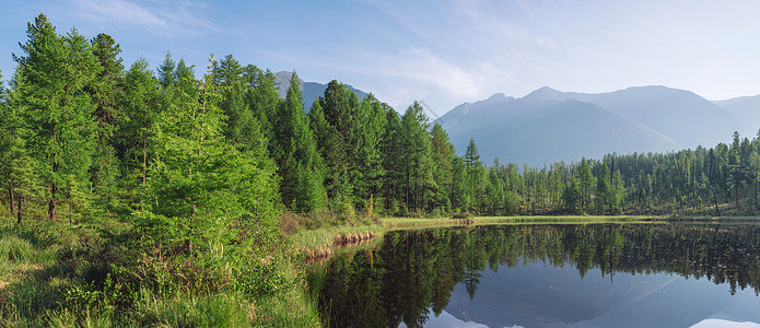 山川的美丽景色在森林树木和岩石之间在背景图片