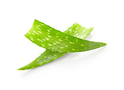 Aloevera叶子白底带图片