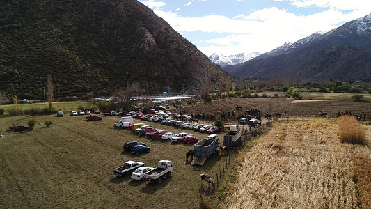 智利地貌山脉山谷和马图片