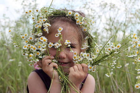 野花圈的小女孩躲在洋甘菊田的白花束里图片