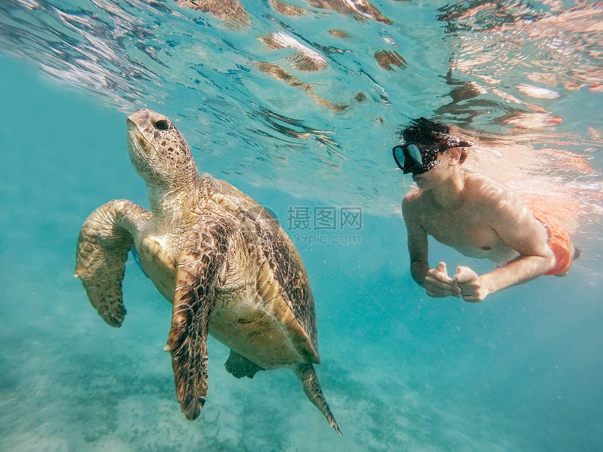 年轻男孩在热带奇特天堂与成年大绿海龟cheloniamydas同步游泳埃及MarsaAla图片