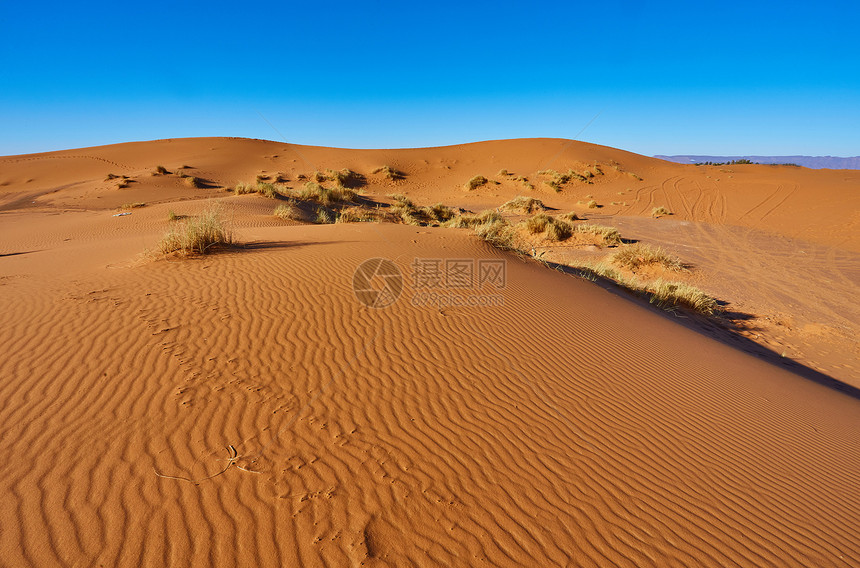 撒哈拉沙漠中美丽沙图片