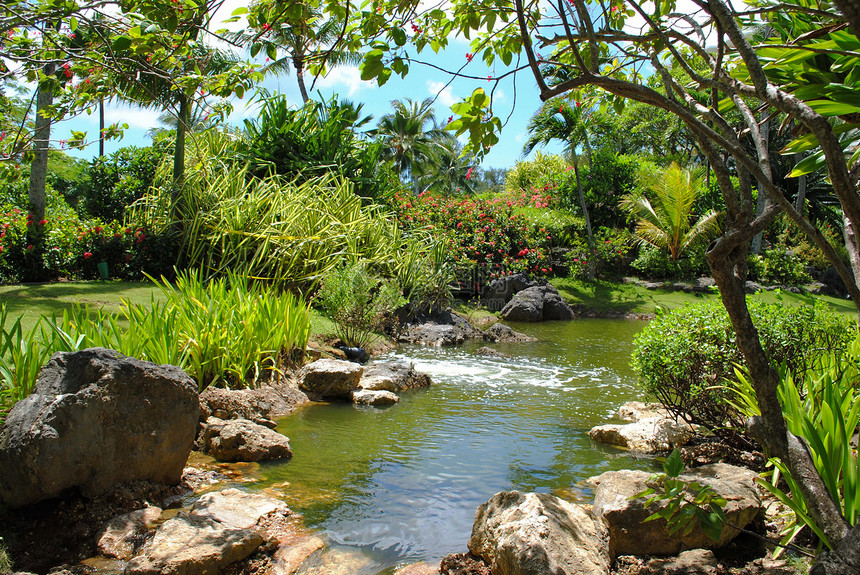 风景优美的溪流与岩石在园景花园中图片