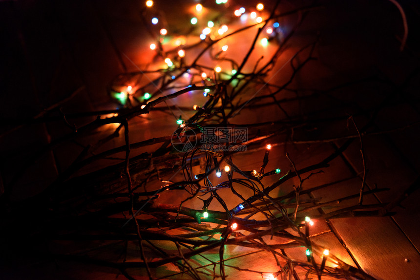 木树枝上的时尚复古圣诞花环灯图片