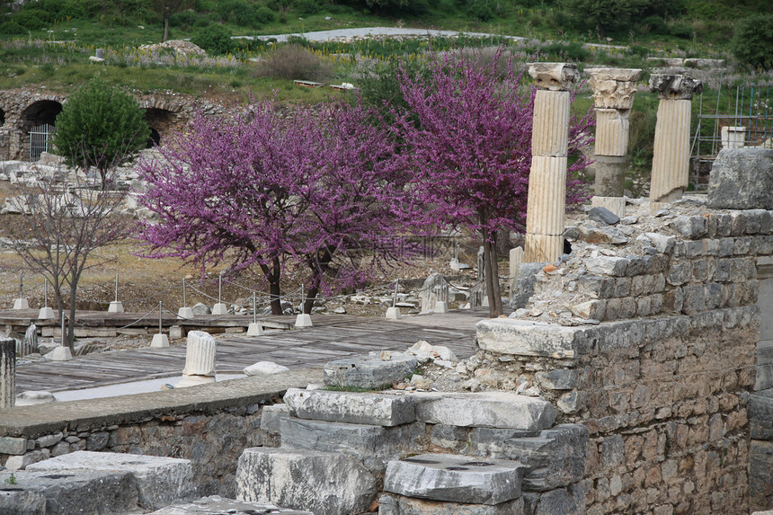 土耳其埃菲斯的春天图片