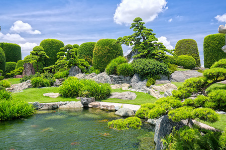 生态旅游中的美丽花园与众多承载着日本传统园林传统文化的柏树松树石头水图片