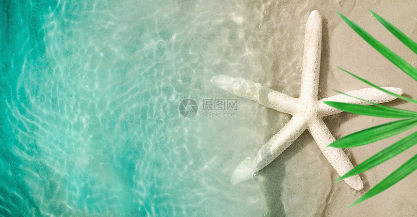 夏日海滩上的海星沙滩和棕榈树图片