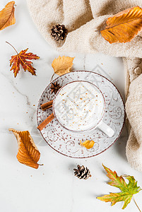 白色大理石桌上的南瓜拿铁咖啡生奶油肉桂和茴香图片