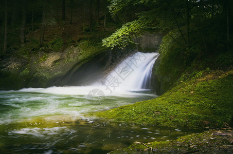 深绿色森林中的小瀑布图片
