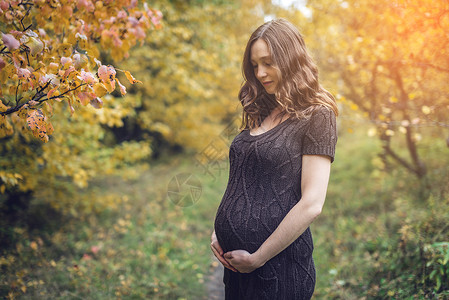 穿着一身针织衣服的孕妇肚子的美丽肖像图片