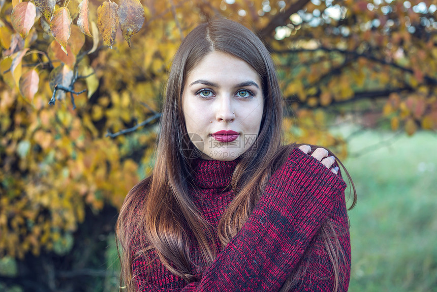 在秋天公园的黄色树丛中一位穿着红色毛衣和亮唇膏的女人的美丽多彩肖像秋图片