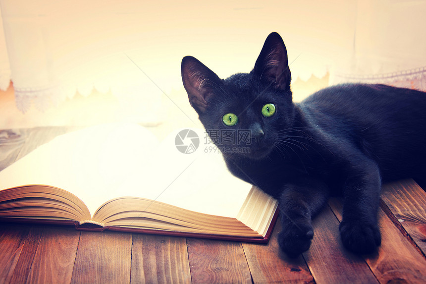 开放书本和黑猫在木制桌上知识和图片