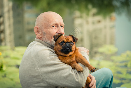 祖父带着一只格里芬犬背景图片