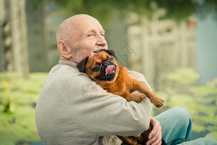 祖父带着一只格里芬犬背景图片