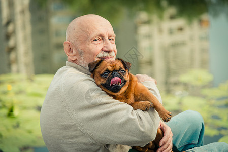 祖父带着一只格里芬犬背景图片