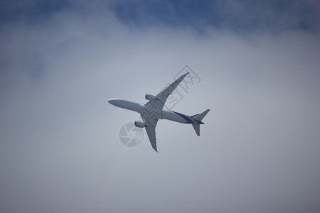 泰航道第一波音787900图片