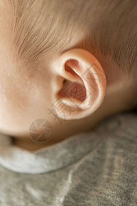 0岁宝的可爱耳朵背景图片
