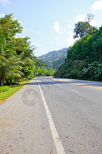 新鲜的绿树弯曲的道路图片