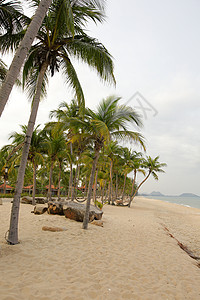 海滨沙滩附近的沙子用图片