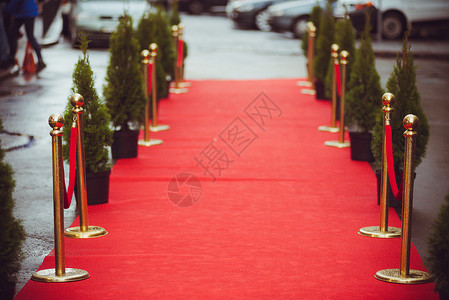 红地毯传统上用于标记元首在仪式和正式场合所走的路线背景图片