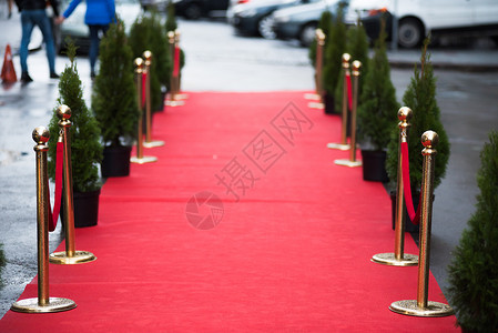 红地毯传统上用于标记元首在仪式和正式场合所走的路线图片
